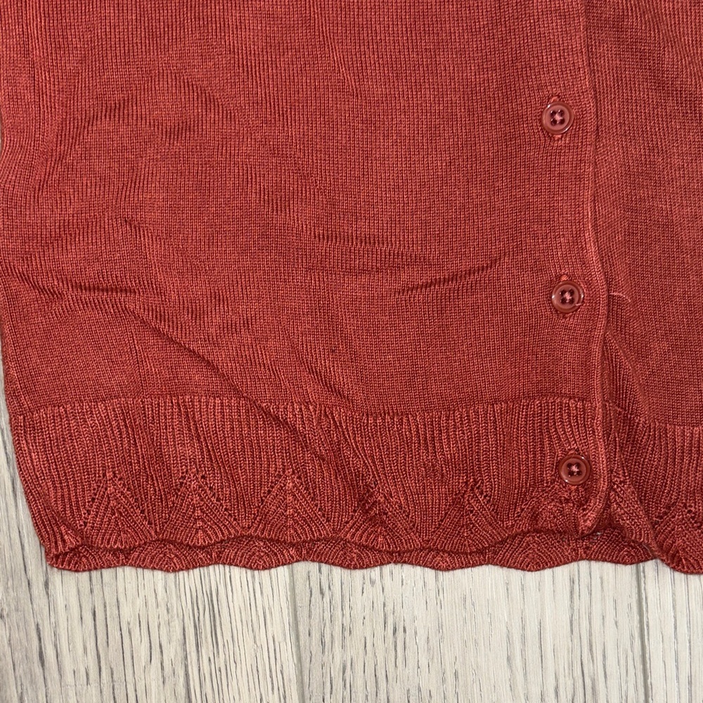 Daniel Rainn Rust Button-Down Cardigan - Picture 4 of 5